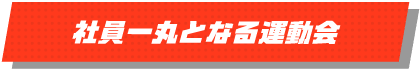 社員一丸となる運動会