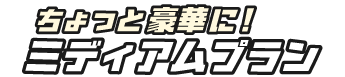 ちょっと豪華に!ミディアムプラン