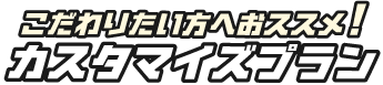 こだわりたい方へおススメ!カスタマイズプラン